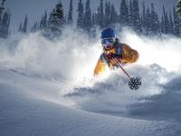 IM竞技体育平台-瑞士军刀出鞘，皇家社会抢七战提前终结悬念的战术密码